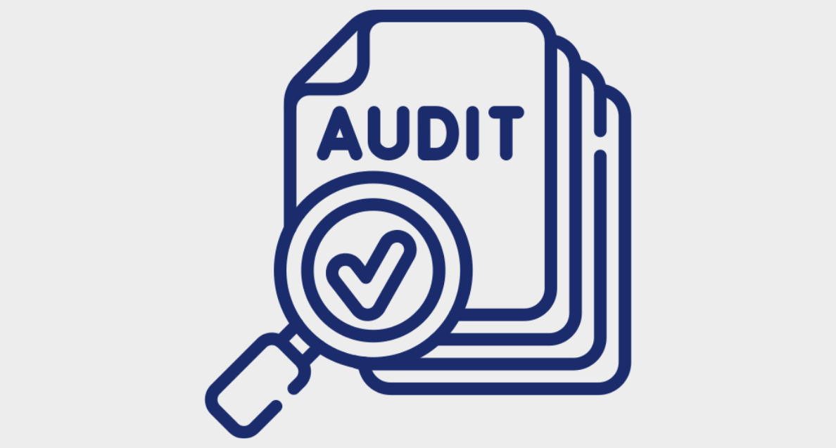 İnsan resursları proseslərinin auditi